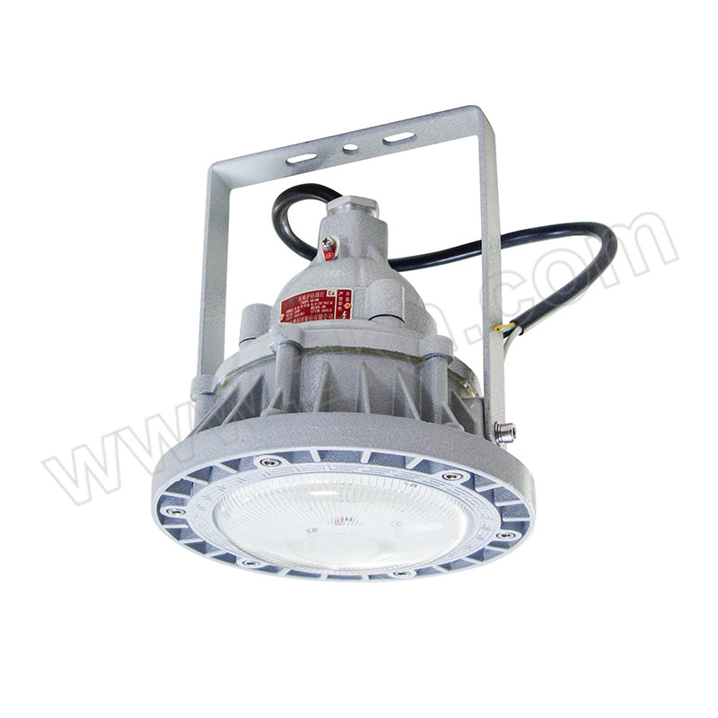 EGFB/二工防爆 免维护防爆灯 EGD-40W 1只