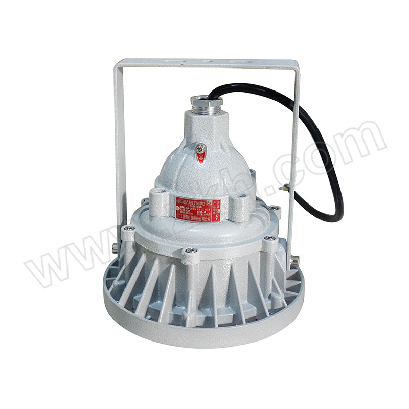 EGFB/二工防爆 免维护防爆灯 EGD-40W 1只