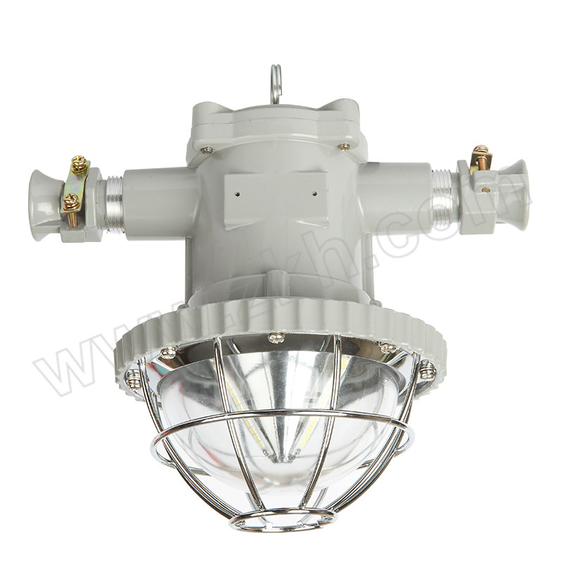 CHHI/正辉 矿灯  DGS18/127L（A） 127VAC 18W  灰色 1套