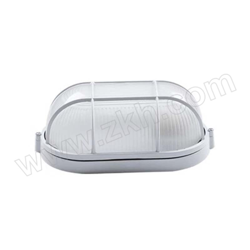 DILINGQU/第零区 LED防潮灯 DLQ-11380 E27螺口 玻璃中椭圆 配18W白光灯泡 1个