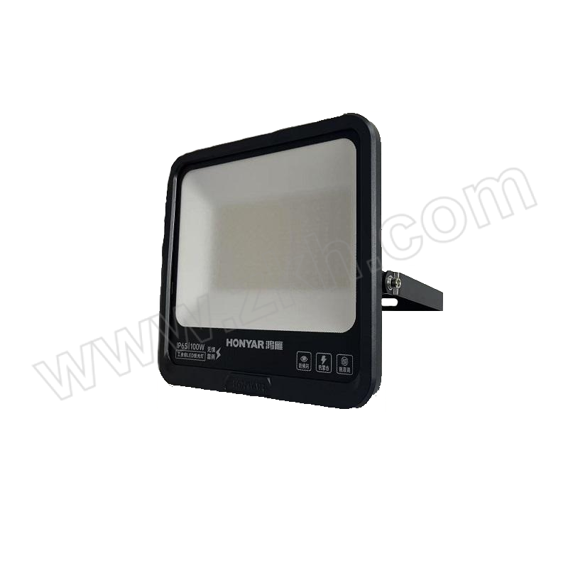 HONYAR/鸿雁 LED投光灯-荣威系列 HLTGF-100 100W 砂黑色 1个