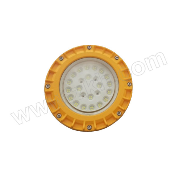 EKS/依客思 防爆投光灯 EKS210-50W 36V 1个