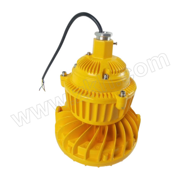 EKS/依客思 防爆投光灯 EKS210-50W 36V 1个