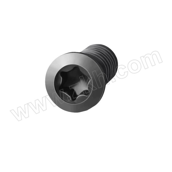 HZ/韩泽 螺丝(刀具配件) M2x4 M2×0.4×4L×D2.8×T6 1个
