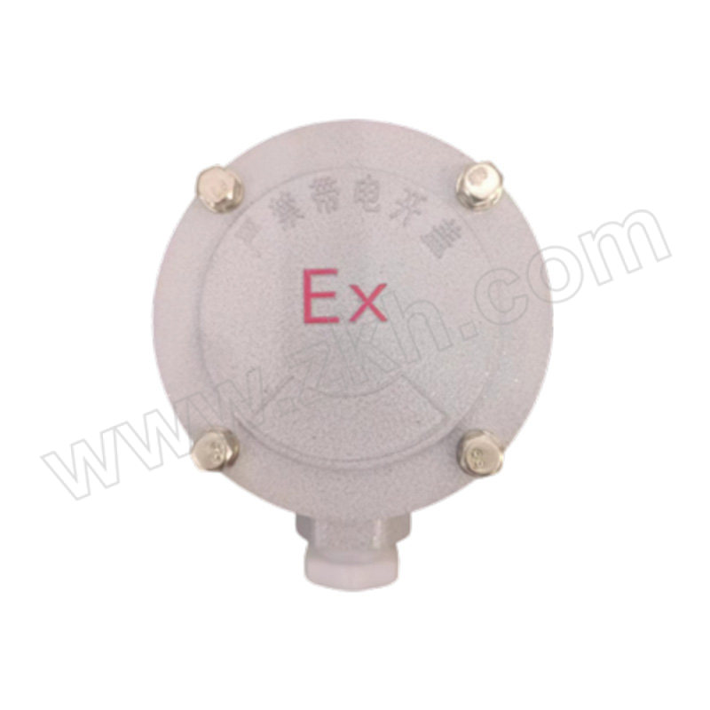 XGNFB/兴港防爆 铝合金防爆接线盒 AH-A-G2 一通平 Ex db IIB 1个