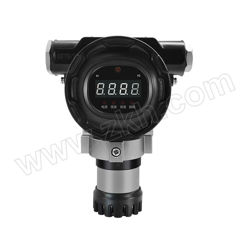 SAFEGAS/元特 固定式苯检测仪 SG100-C6H6-ZKH PID 常规性能 量程0~10000ppm 精度3%F.S 带显示 1台
