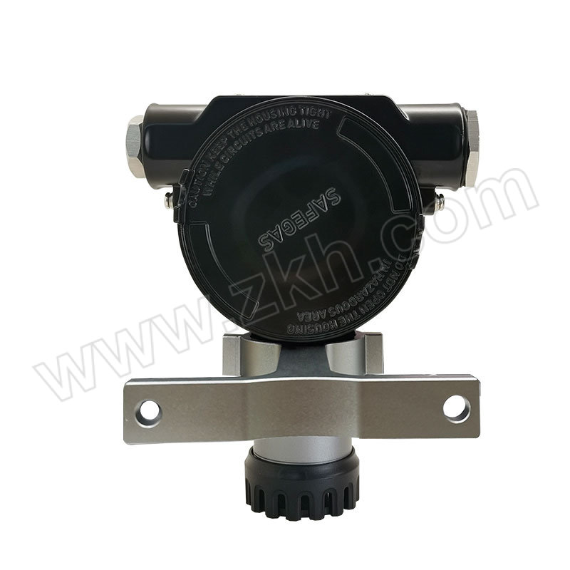 SAFEGAS/元特 固定式苯检测仪 SG100-C6H6-ZKH PID 常规性能 量程0~10000ppm 精度3%F.S 带显示 1台