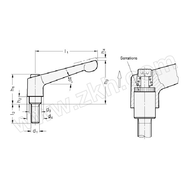 ELESA+GANTER/伊莉莎-冈特 可调节手柄 GN300.1 300.1-30-M6-50-SW 1个