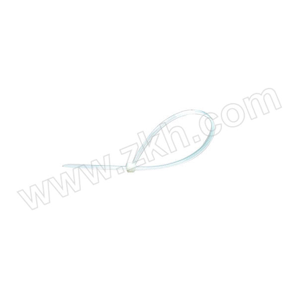 DELIXI/德力西 CDS系列自锁式尼龙扎带 5×250 白色 优质型 250条 1包