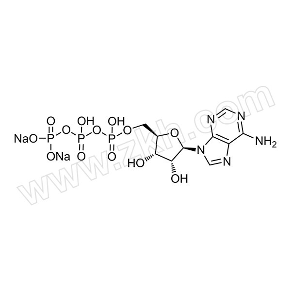 MACKLIN/麦克林 腺苷-5'-三磷酸二钠盐(ATP) A800085-25g CAS号:987-65-5 规格:99% 25g 1瓶