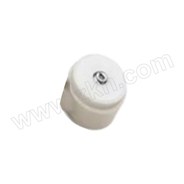YIZHANYUAN/宜展源 不锈钢标准砝码 1g F1等级 仪展(老品牌) 1个