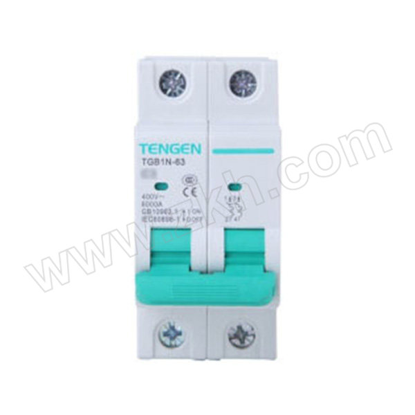 TENGEN/天正 TGB1N-63系列小型断路器 TGB1N-63 2P C2 1个