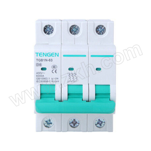 TENGEN/天正 TGB1N-63系列小型断路器 TGB1N-63 3P C1 1个