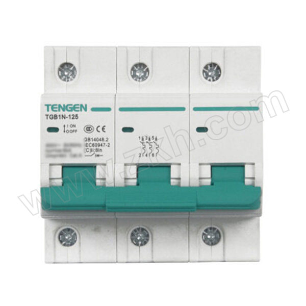 TENGEN/天正 TGB1N-125系列塑料外壳式断路器 TGB1N-125 3P C63 1个