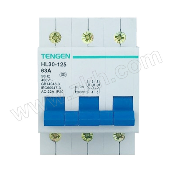 TENGEN/天正 HL30-125系列隔离开关 HL30-125 3P 80A 1个