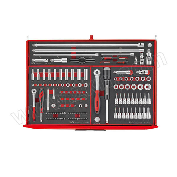 TENGTOOLS/瑞典天魔 EVA工具组套(精选249件常用工具) TCEMM249N 1套