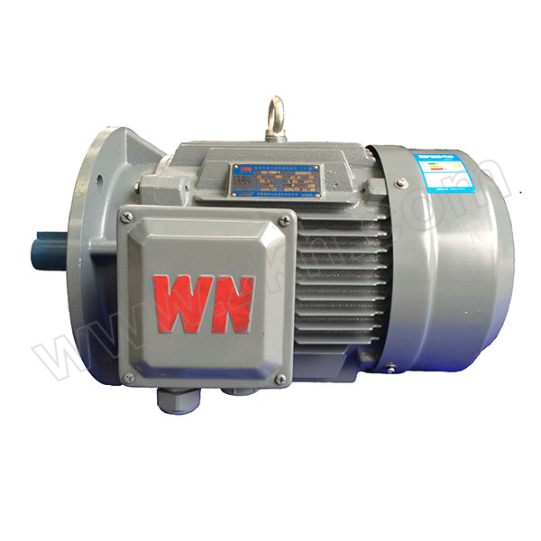 WANNANMOTOR/皖南电机 YE3系列普通三相异步电动机 YE3-100L-2 B5 IE3三级能效 3kW 1台