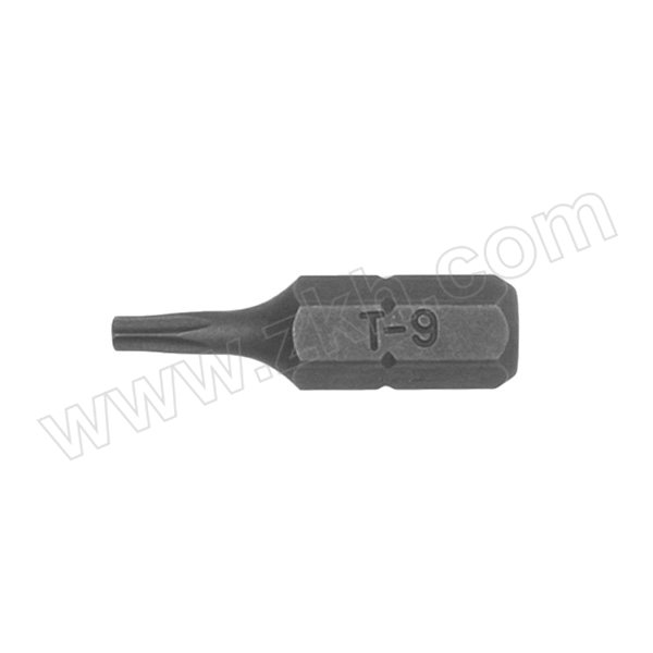 TENGTOOLS/瑞典天魔 25MM长1/4"六角星型旋具头 TX2500903 TX9 1支