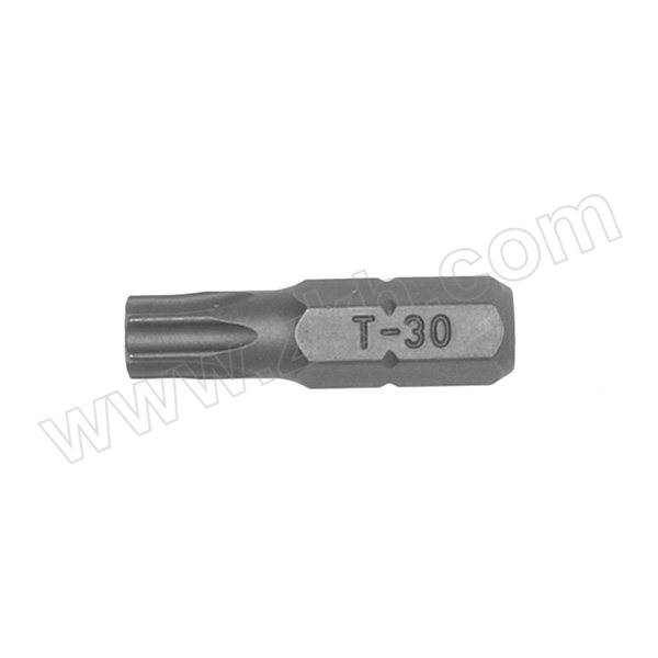 TENGTOOLS/瑞典天魔 25MM中空星型旋具头 TPX2503003 TPX30 1支