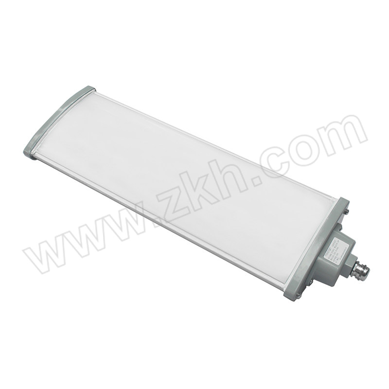 TORMIN/通明电器 LED防爆灯 BC5402D-L60 IP67 60W 1套