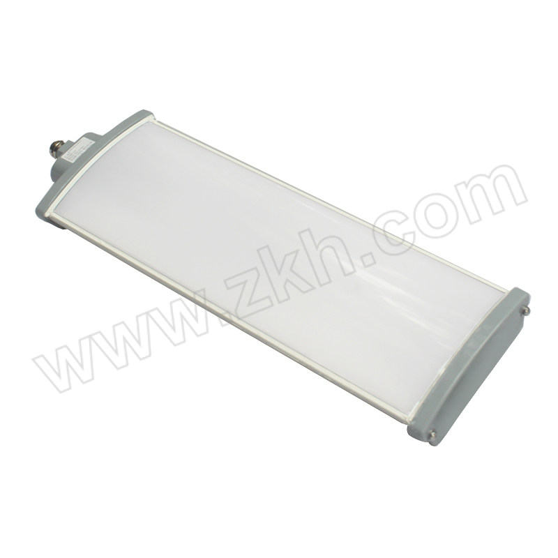 TORMIN/通明电器 LED防爆灯 BC5402D-L60 IP67 60W 1套