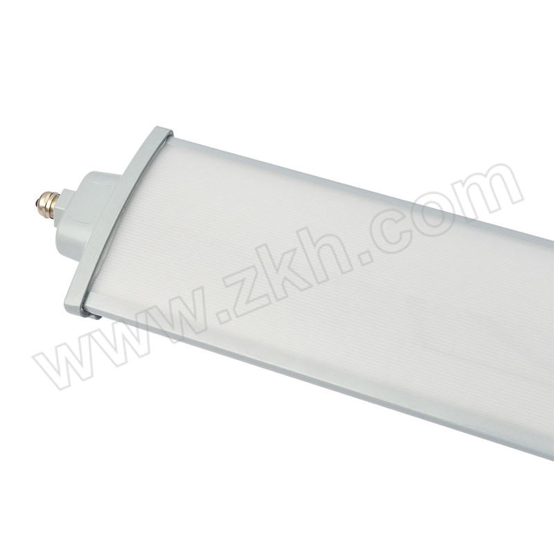 TORMIN/通明电器 LED防爆灯 BC5402D-L60 IP67 60W 1套