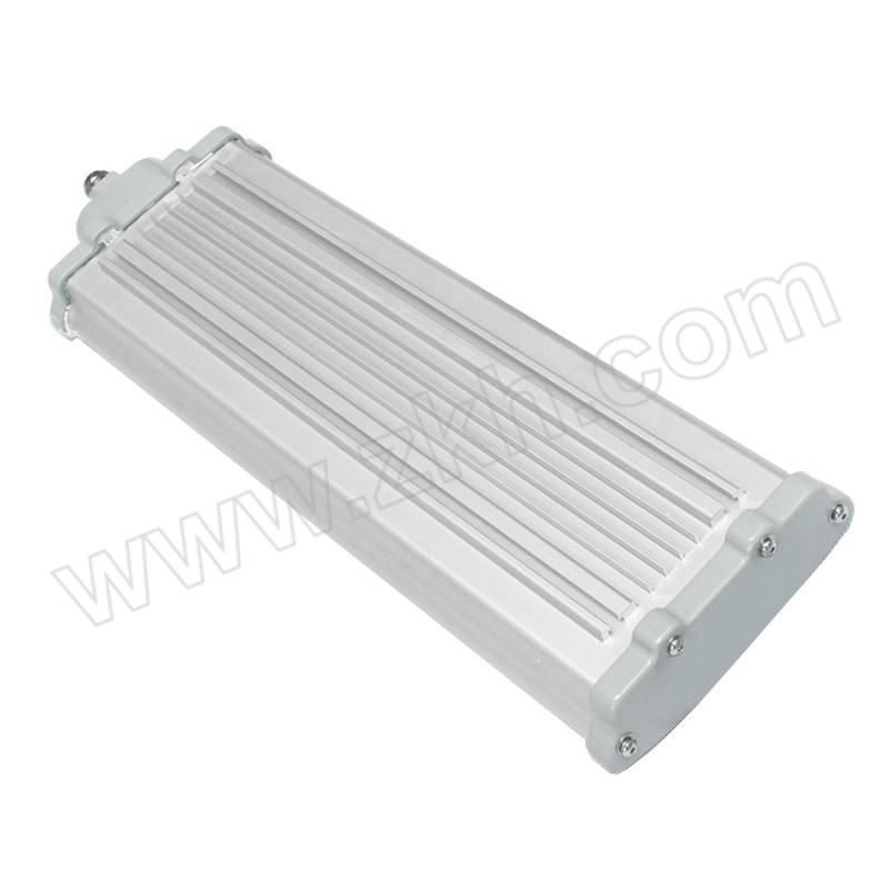TORMIN/通明电器 LED防爆灯 BC5402D-L60 IP67 60W 1套