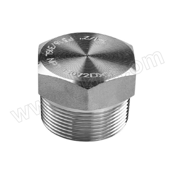 RG/锐阁 碳钢A105高压六角堵头 3/8"NPT-3000LB 1只