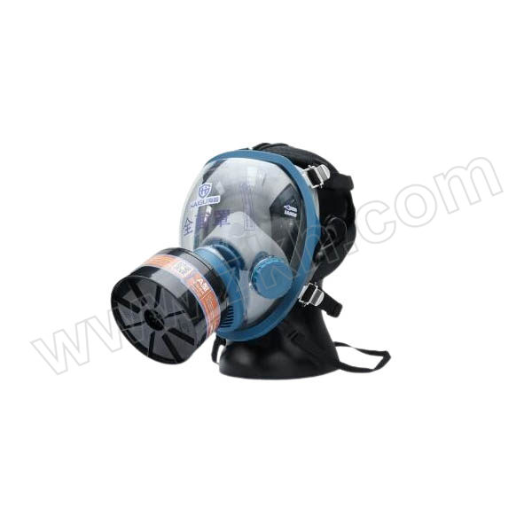 HAIGU/海固 800系列全面罩套装 HG-800/P-A-2 含A型3号滤毒罐 1套