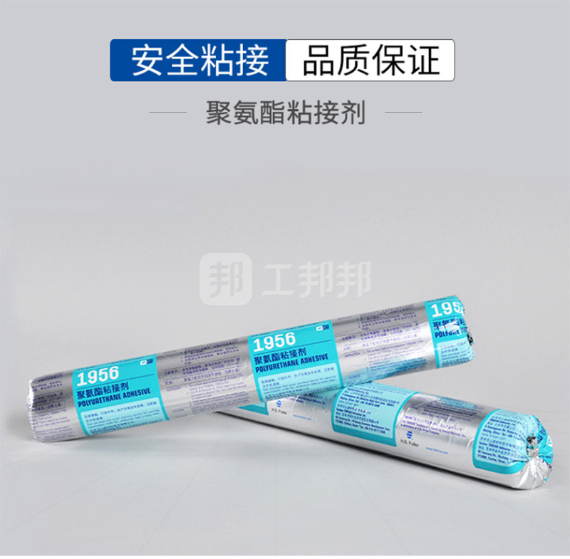 澳门今晚上开什么